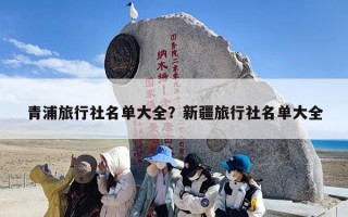 青浦旅行社名单大全？新疆旅行社名单大全