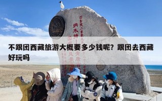 不跟团西藏旅游大概要多少钱呢？跟团去西藏好玩吗