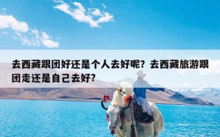 去西藏跟团好还是个人去好呢？去西藏旅游跟团走还是自己去好?