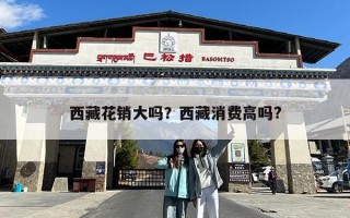 西藏花销大吗？西藏消费高吗?