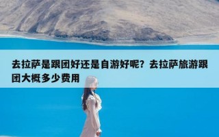 去拉萨是跟团好还是自游好呢？去拉萨旅游跟团大概多少费用