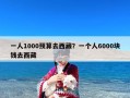 一人1000预算去西藏？一个人6000块钱去西藏