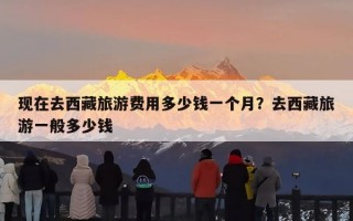 现在去西藏旅游费用多少钱一个月？去西藏旅游一般多少钱