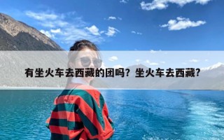 有坐火车去西藏的团吗？坐火车去西藏?