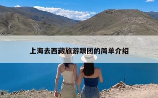 上海去西藏旅游跟团的简单介绍