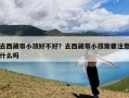 去西藏带小孩好不好？去西藏带小孩需要注意什么吗