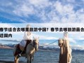 春节适合去哪里旅游中国？春节去哪旅游最合适国内