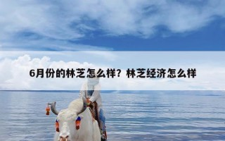 6月份的林芝怎么样？林芝经济怎么样