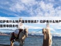 拉萨有什么特产值得带回去？拉萨有什么特产值得带回去吃