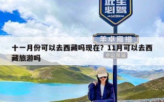 十一月份可以去西藏吗现在？11月可以去西藏旅游吗