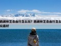 西藏林芝自由行怎么玩？西藏林芝自由行怎么玩最好