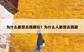 为什么都想去西藏玩？为什么人都想去西藏