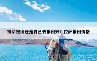 拉萨报团还是自己去报团好？拉萨报团价格