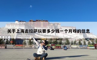 关于上海去拉萨玩要多少钱一个月呀的信息