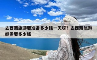 去西藏旅游要准备多少钱一天呀？去西藏旅游都需要多少钱