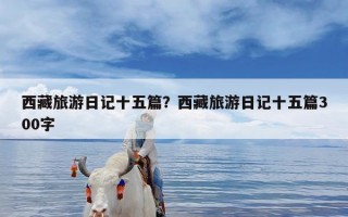 西藏旅游日记十五篇？西藏旅游日记十五篇300字