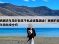 西藏青年旅行社属于私企还是国企？西藏的青年旅社安全吗