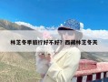 林芝冬季旅行好不好？西藏林芝冬天