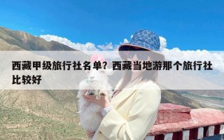 西藏甲级旅行社名单？西藏当地游那个旅行社比较好