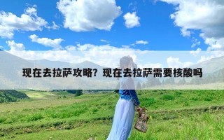 现在去拉萨攻略？现在去拉萨需要核酸吗