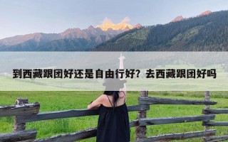 到西藏跟团好还是自由行好？去西藏跟团好吗