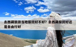 去西藏旅游当地报团好不好？去西藏报团好还是自由行好