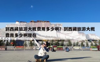 到西藏旅游大概费用多少啊？到西藏旅游大概费用多少啊现在