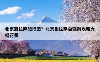 北京到拉萨旅行团？北京到拉萨自驾游攻略大概花费