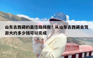 山东去西藏的最佳路线图？从山东去西藏自驾游大约多少钱可以完成