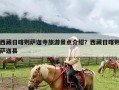 西藏日喀则萨迦寺旅游景点介绍？西藏日喀则萨迦县
