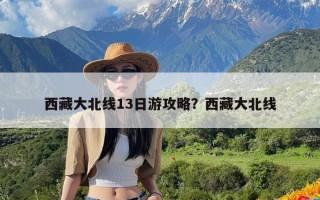 西藏大北线13日游攻略？西藏大北线