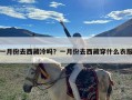 一月份去西藏冷吗？一月份去西藏穿什么衣服