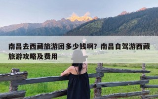 南昌去西藏旅游团多少钱啊？南昌自驾游西藏旅游攻略及费用