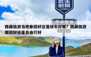 西藏旅游当地参团好还是拼车好呢？西藏旅游跟团好还是自由行好