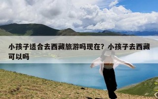 小孩子适合去西藏旅游吗现在？小孩子去西藏可以吗