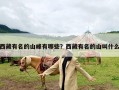 西藏有名的山峰有哪些？西藏有名的山叫什么