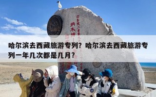 哈尔滨去西藏旅游专列？哈尔滨去西藏旅游专列一年几次都是几月?