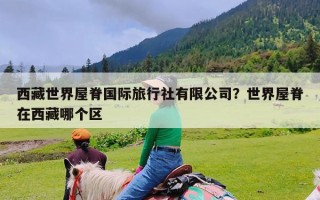 西藏世界屋脊国际旅行社有限公司？世界屋脊在西藏哪个区