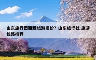 山东旅行团西藏旅游报价？山东旅行社 旅游线路推荐