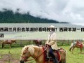 西藏三月份去羊湖好看吗视频？西藏羊湖一日游
