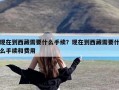 现在到西藏需要什么手续？现在到西藏需要什么手续和费用