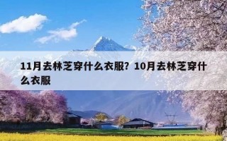 11月去林芝穿什么衣服？10月去林芝穿什么衣服