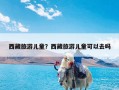 西藏旅游儿童？西藏旅游儿童可以去吗