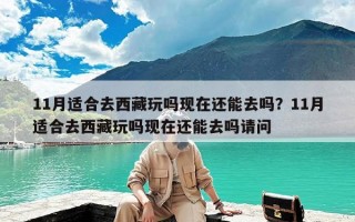 11月适合去西藏玩吗现在还能去吗？11月适合去西藏玩吗现在还能去吗请问