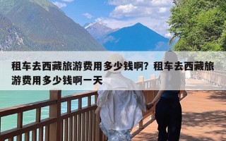 租车去西藏旅游费用多少钱啊？租车去西藏旅游费用多少钱啊一天