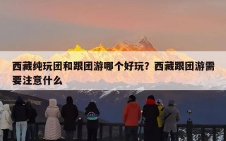 西藏纯玩团和跟团游哪个好玩？西藏跟团游需要注意什么