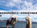 林芝到拉萨的河叫什么？林芝到拉萨中间的景点