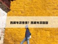 西藏导游倩倩？西藏导游甜甜