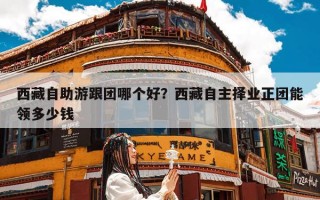 西藏自助游跟团哪个好？西藏自主择业正团能领多少钱