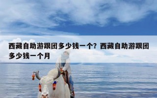 西藏自助游跟团多少钱一个？西藏自助游跟团多少钱一个月